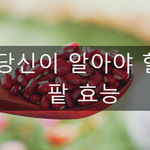 건강에 좋다는 팥의 <b>효능</b> 정리