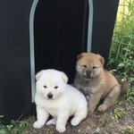 대군데 우리 학교 <b>격주</b>등교래...