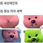 [드루와] 선택과목 추반 ㄲ