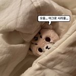 <b>오웅</b>... 어그로는 싫어요...