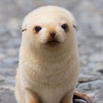 [드루와] 엑소가 1군이다 <b>VS</b> 아니다 추반 좀