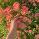 [댓글부탁해] <b>혼자서</b> 컸다는 말 어떻게 들려?