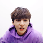 [골든차일드] 와토끼 언제 토끼 닮았다고 느껴??