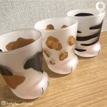 <b>고양이발</b> 컵 사 말아 추반 좀