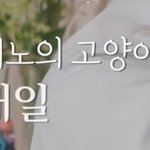 진짜 <b>자막</b> 개웃기네ㅋㅋㅋ