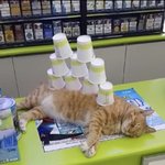 아 <b>영업</b> 안 합니다, 안 해요!