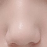 [19] 이런 <b>코</b> 모양은 어떻게 살아..?