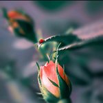 [이것좀봐줘] 이 세상에 왜 태어났지?