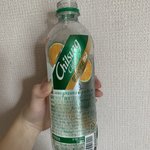 얘들아 청귤 사이다 맛있음