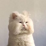 어몽<b>어스</b> 한판만하고 알바간다 ㅅ ㅂ