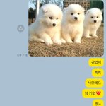 엄마한테 <b>읽씹</b>당함