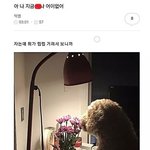 노래 좋아하고 관심 많은 사람?