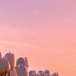 [드루와] ~<b>루시드</b>드림 꾸는 법 알려드림~