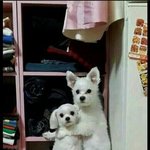 [드루와] 중3들 들어와봐
