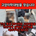 [방탈죄송] 목포) 살아있는 관이 <b>배달</b>되었습니다. (고양이학대사건)...