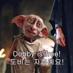 [드루와] 해리<b>포터</b> 짤털이