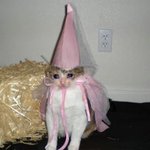 [이것좀봐줘] <b>블로그</b>하는사람