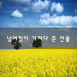 [이것좀봐줘] 넘어짐이 가져다 준 선물~