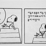 [댓글부탁해] 아 뭐만하면 한국은 ㅇㅈㄹ하는 <b>새끼</b>들
