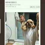[댓글부탁해] 예쁘고 <b>심성</b> 고운 판녀들아 제발 뭐라고 보내야할까