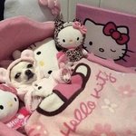 [댓글부탁해] 나 렌즈 처음 사보는데 도와줘