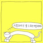 혹시 여기 정시러들 있냐