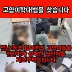 목욕탕에서 <b>배스</b>밤 넣으면 안되는이유가 뭐임?
