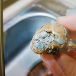 민초 <b>배척</b>하지마ㅡㅡ