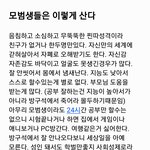 [드루와] <b>모범</b>생들은 이렇게 산다