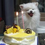 내 <b>생일</b> ㅎㅎ