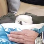 [댓글부탁해] 고등학교 <b>독학</b> ㄱㄴ?