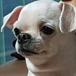 나 <b>이날</b> 눈화장 잘된듯