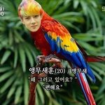 [모두드루와] <b>세훈</b> 이 짤 졸라 웃기넼ㅋㄹㅋㄹㅋ