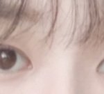 쌍수 할까 말까