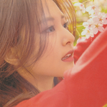 <b>악플</b>은 살인아님