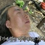 [댓글부탁해] 식단조절을 하면 살 빠질 수 있을까