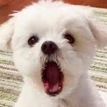 [댓글부탁해] 앞트임 실밥 풀엇당