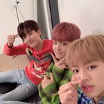 [트레저] 앨범 살건데 블랙버전살까 화이트버전살까