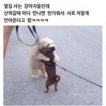 [댓글부탁해] 코로나 개죽여버리고싶다 ㅆㅂ