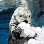 [이것좀봐줘] 갓 <b>생성</b>한 흑역사 들어볼사람?