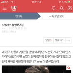 <b>노엘</b> 불쌍한 이유