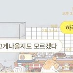 [드루와] 1388 전화 상담 후기~~