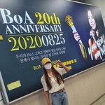 보아팬들이 준비한 20주년 기념 이벤트들
