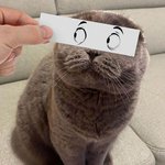 <b>집사</b>야...흐즈므르라...