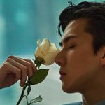 타팬인데 엑소세훈 개존잘이다