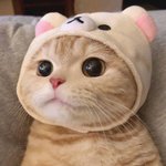 [댓글부탁해] 남자들 외모 못생긴것보다 더 안좋은거