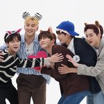 [뉴이스트] 개<b>훌륭</b> 인별 아롱,꽃순,쩨알이