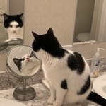 [댓글부탁해] 나 문과 이과 좀 골라주라ㅜㅠㅠ
