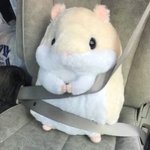 [댓글부탁해] 야야 거울을 후면으로 찍으면 내 얼굴인가?