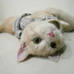 [드루와] 아이돌 <b>덕후</b>들아 들어와봐!